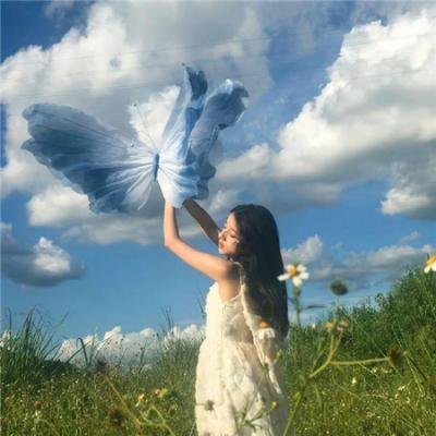 红色白鹦鹉